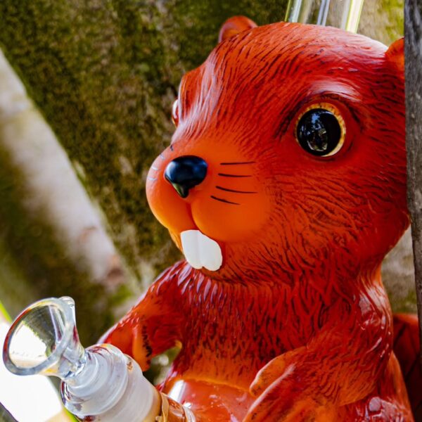 YHS Smoke 8.9" PVC Beaver Water Pipe - Image 7
